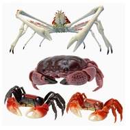 Bandai Encyclopedia of Biological Knowledge Crab Trendy Crab Alaskan King Crab Gashapon Long-legged 