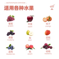Angel Fruit Wine Yeast Home-Brewed Wine Watermelon Plums Kiwi Fruit Wine Dedicated Wine Yeast Wine K