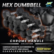 SPORTLAND Collection Hexagonal Dumbbell With Plated Handle SPLHex Dumbbell+Chromed (9kg 10kg 12kg 14