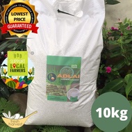 10kgs ADLAI RICE (newly milled)