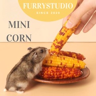 [SG STOCK] Mini Corn for Hamster Hamster Treats