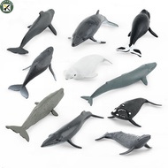 Boupower Simulation Marine Sea Life Whale Figurines Beluga Humpback Whale Action Figures Ocean Animal Model Ornaments Toys