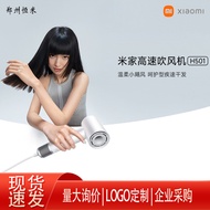 XX Xiaomi Mijia Hair Dryer H501 Home Use High Speed High Power Strong Wind Negative Ion Quick Dry Ha