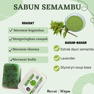DAUN SEMAMBU VIRAL SABUN MURAH SABUN EKZEMA SABUN GATAL SABUN HILANG PARUT SABUN SEMAMBU SABUN KUDIS