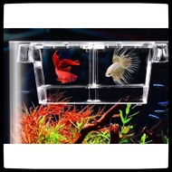 Aquarium Double-Layer Fish Breeding Isolation Transparent Box