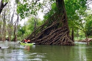 สถานที่ท่องเที่ยว/กิจกรรม Stung Treng Canoeing In Mekong River - Siem Reap