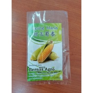 Biji Benih Jagung Manis King F1 Sweet Corn Seed AG F1 316 (repacking 5biji)