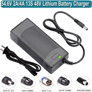 ⭐54.6V2A/3A Battery Charger for Electric Bike, 48V 2A Power Supply for 48V Ecotric Bike/Lectric XP/E