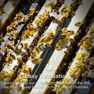 20Pcs Small Bee Hive Beetle Blaster Beetle Trap Beekeeping Tools JRA-SG