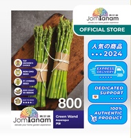 JOM TANAM Asparagus Seed/Benih Asparagus/芦笋种子 Green Wand 800 (30 seeds)