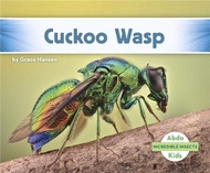 51111.Cuckoo Wasp