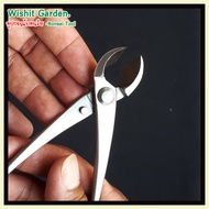 อุปกรณ์บอนไซ คีมท้องเรือปากตรงสแตนเลส ขนาด6.5 นิ้ว 165 มม. Branch Cutter Bonsai Tools Concave Cutter