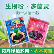 Plant rooting powder Fast rooting powder plant Universal Succulent Plants Fugui Bamboo Cuts Transpla
