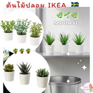 พร้อมส่ง ไม้ประดิษฐ์ในกระถาง ต้นไม้ปลอม  IKEA FEJKA เฟคก้า ดอกไม้ประดิษฐ์ ต้นไม้ประดิษฐ์ กุหลาบหิน ต้นหญ้าปลอม