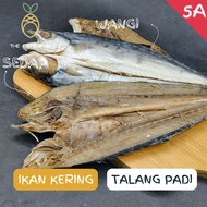 🐟 Ikan Masin Talang Padi Ikan Talang Padi Masin Ikan Kering Talang Padi Ikan Talang Masin Tanjung Da