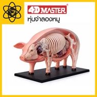 4D Vision 4D Pig Model
