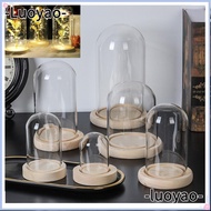 LUOYAO Glass cloche Terrarium Tabletop Home Decor Transparent Bottle Glass Vase Jar Wooden base