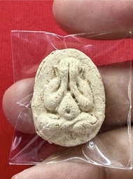 【古巴陣得】一期必打中模