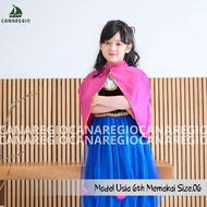 Anna Frozen Disney Anna Children's Costume Satin Velvet