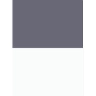 Delvonta Water Jug 2 Taps