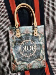 Dior 防水 紙袋包