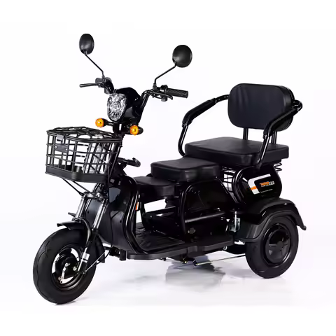 Ebike 3 Wheels Cargo Tricycle 1000W 600W 48V 3 Wheeler Electric Bike Electric Cargo Tricycle Motorcy