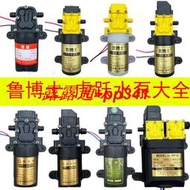 電動噴霧器高壓泵12v電機馬達配件大全通用打藥機大功率雙核水泵