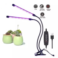 Hydroponic Plant Grow Light Phytolamp Full Spectrum USB LED