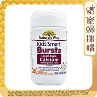 Nature's Way - 海藻鈣鎂鋅咀嚼軟膠囊 30s (平行進口5537)