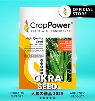 TOP RATED 🌟 (50 GRAM) Biji Benih Bendi Ten Brothers 十兄弟 OK10 CROP POWER F1 Hybrid Okra Seeds 秋葵羊角豆种子