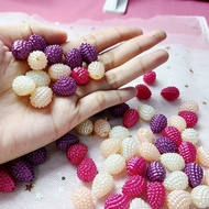 Pearl beads pearl shape (Berry Oval) Premium beads limited beads Unique beads Mote beads Wholesale b