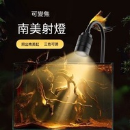 迷你夾式水族箱燈 小型可調光魚缸燈 USB聚光燈 可變色迷你魚缸射燈 南美魚缸造景水草燈 三色可調魚缸變焦射燈 丁達爾效果防水夾燈