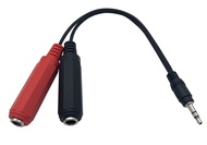 Dafensoy 6.35mm (1/4 inch) to 3.5mm Headphone Adapter, 3.5mm Male Stereo TRS to 2 Dual 6.35mm (1/4 i