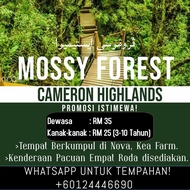 Mossy Forest Tour Transfer Package Cameron Highlands