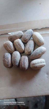 Pala Ambon lonjong 1kg