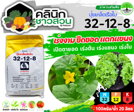 🥬 32-12-8 (ปุ๋ยเกล็ดเรือใบ) บรรจุ 1กิโลกรัม เร่งงาม ยืดยอด แตกแขนง