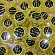 SALEP FLEX GLOWING ORIGINAL