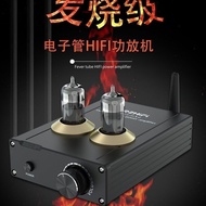 Hifi Weiliang Power Amplifier BREHiFi Fever Grade Bile Machine TPA-6A2 Tube with Harman Speaker