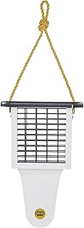 Birds Choice Modern Farmhouse Suet Feeder with Tail Prop, Holds 1 Suet Cake | Hanging Suet Bird Feed