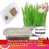 Cat grass seeds Instructions for growing fresh cat grass and barley seeds