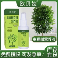 Obe Plant Nutrition Liquid Happy Tree Succulent Potted Green Plant Flowers Diluted-Free Foliar Ferti