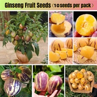 *ขายเมล็ดพันธุ์/ประเทศไทยพร้อมสต็อก*10เมล็ด เมล็ดพันธุ์ ผลไม้โสม Pepino Melon Seeds Ginseng Fruit Se