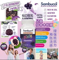 現貨！澳洲Sambucol接骨木軟糖(50粒)