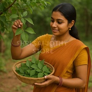 🛒 Fresh Vilvam Leaves (Premium Quality) – 50g Leaves Pack