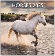 Large Wall Calendar 29 x 29 cm 2025 - September 2024 to December 2025 - Horses