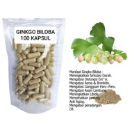 Serbuk Ginkgo Biloba/Gingko Biloba pohon rambut gadis isi 100 kapsul