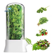 Fresh Herb Keeper For Refrigerator,Space Saving Cilantro Container For Fridge - Herb Saver For Cilan
