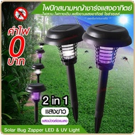 Mosquito Repellent Light Bulb New 2022 Solar 2in1 Cell Corridor Insect Trap Lamp Shock Machine