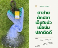 ตาข่ายดักปลาเอ็นใยบัวตราเรือใบแท้ เอ็นเบอร์0.11-2เซน-8เซน สำเร็จรูปพร้อมใช้งาน