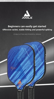 JOOLA Journey pickleball racket fiberglass beginner 100% genuine